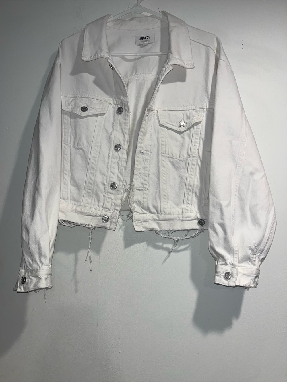 AGOLDE Shrunken Charli denim jacket in Polar